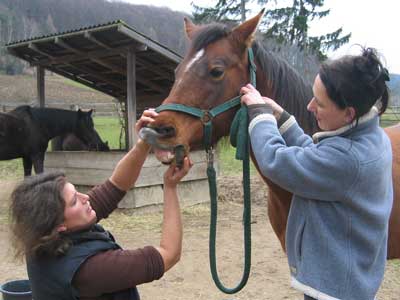 Karin Freytag Wenth_Untersuchung 1